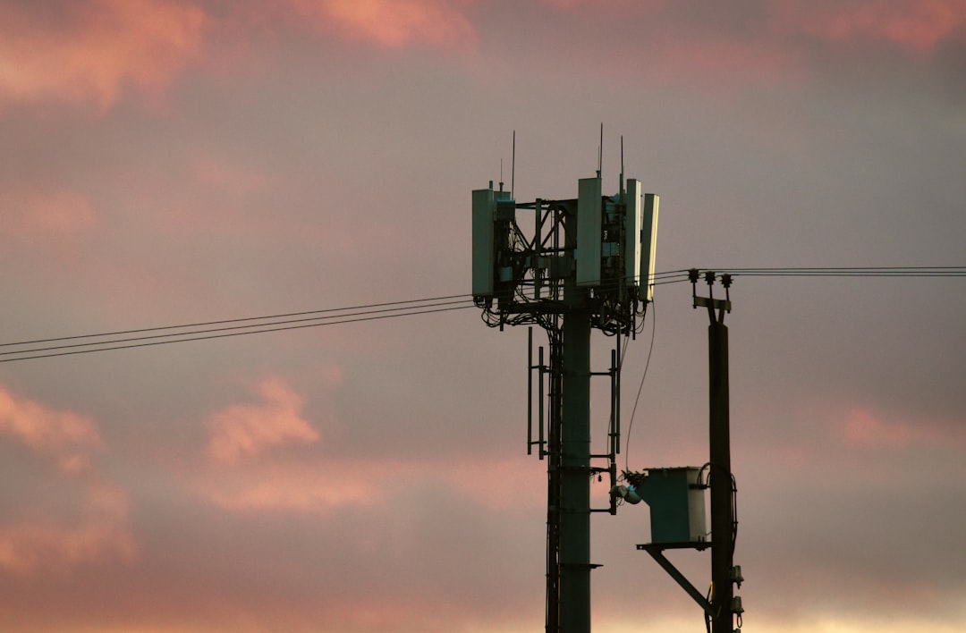 infrastructure_details.masts_build.title